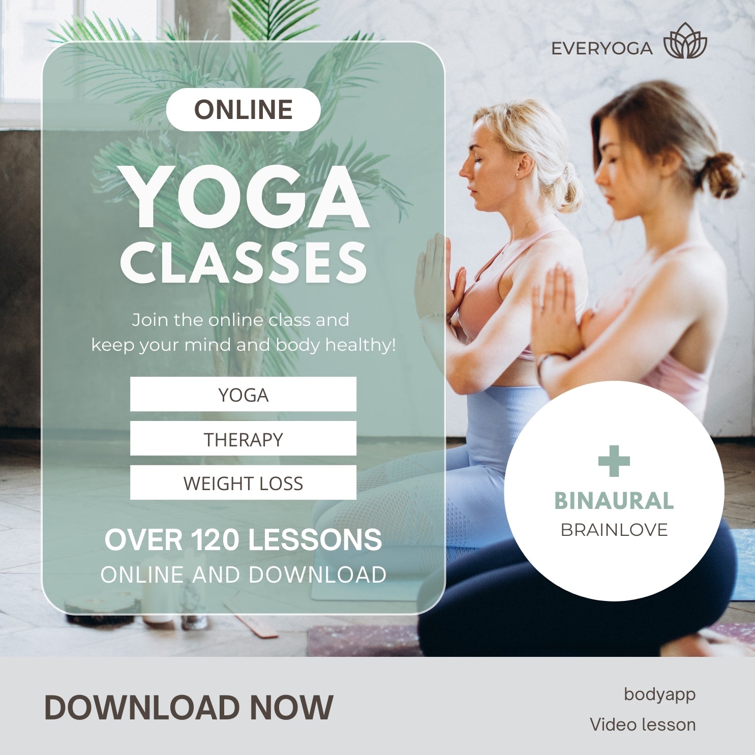 Yoga mit Elli. XXL Yoga Kurs mit mehr als 150 Videos, Yoga Kursbuch, Extras