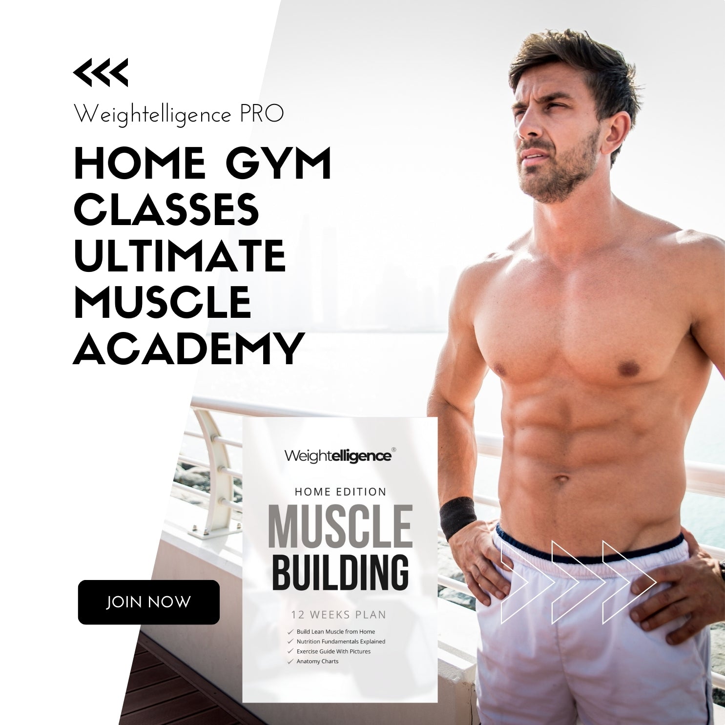 Weightelligence Muscle Building Extrem Gym Edition