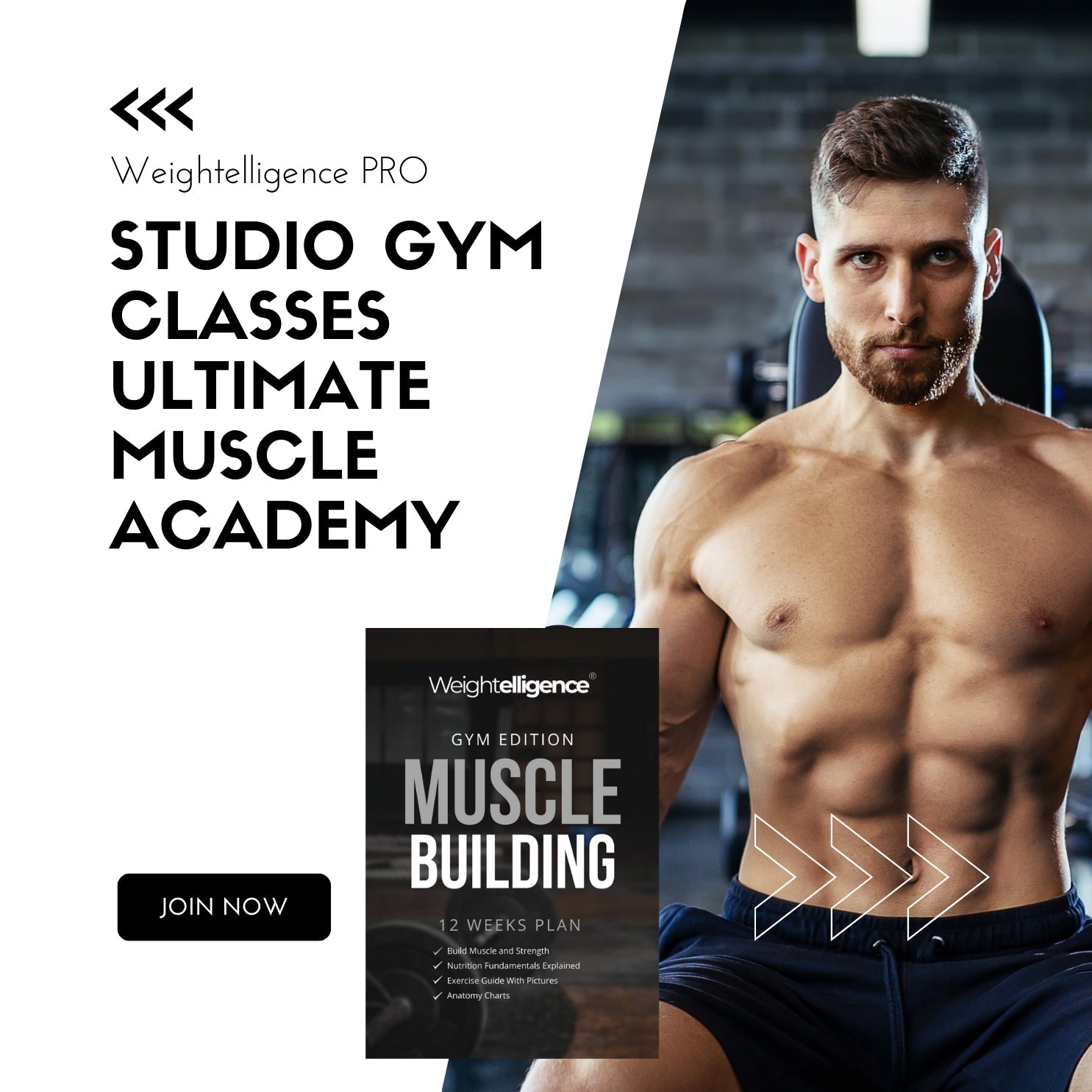 Weightelligence Muscle Building Extrem Home Edition