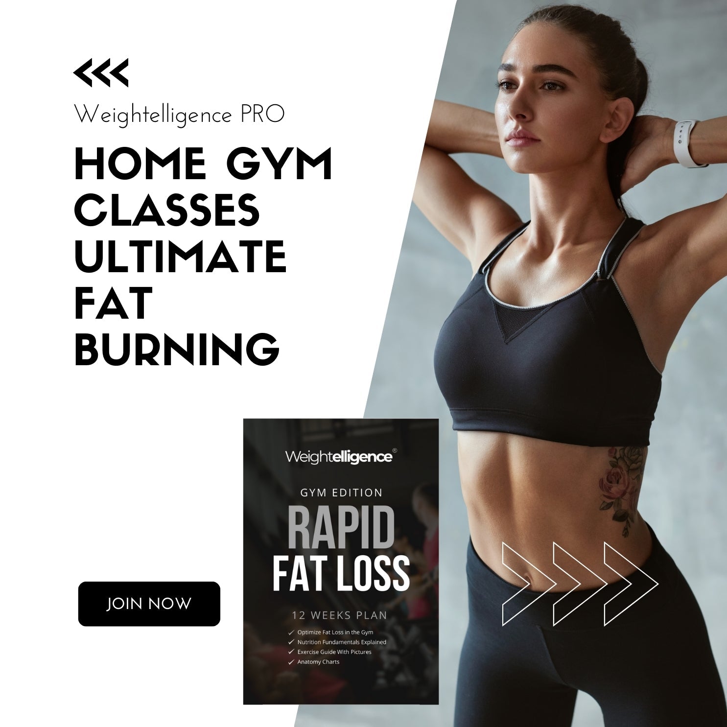 Weightelligence Rapid Fat Loss Gym Edition